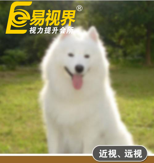 不一樣的眼病，不一樣的世界