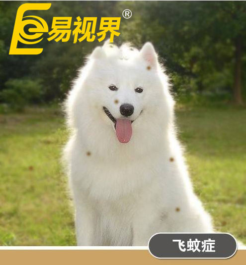 不一樣的眼病，不一樣的世界