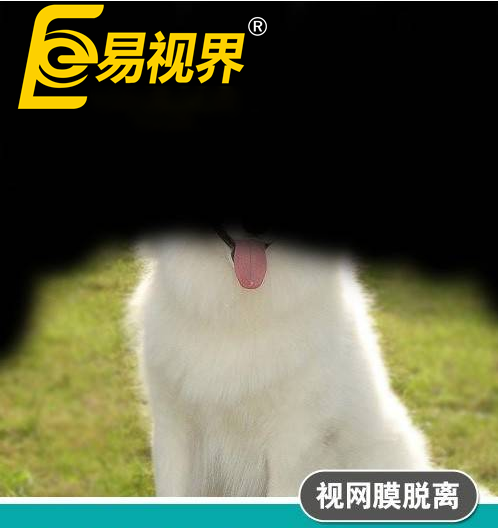 不一樣的眼病，不一
                </div>
                <div   id=