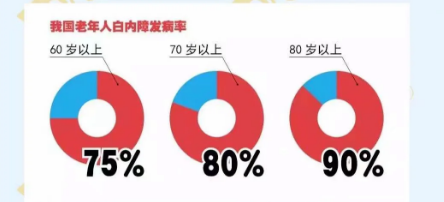 全球致盲的主要原因有哪些？