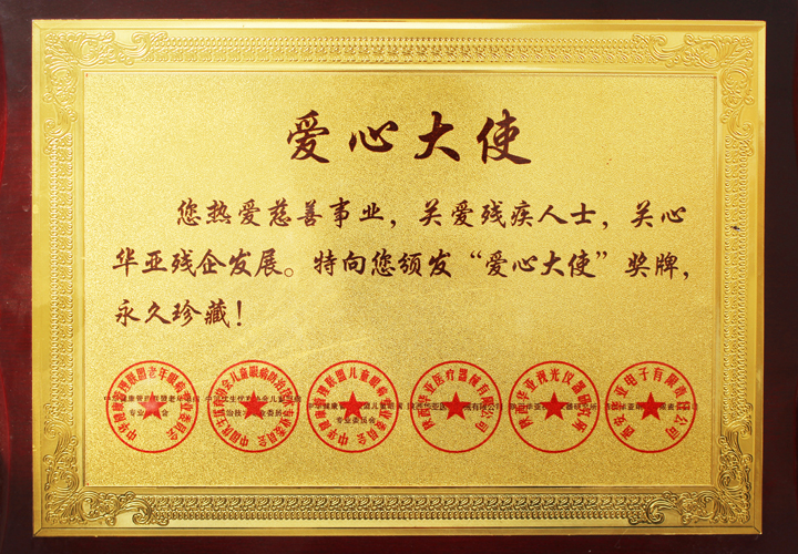 易視界榮獲愛(ài)心大使的榮稱