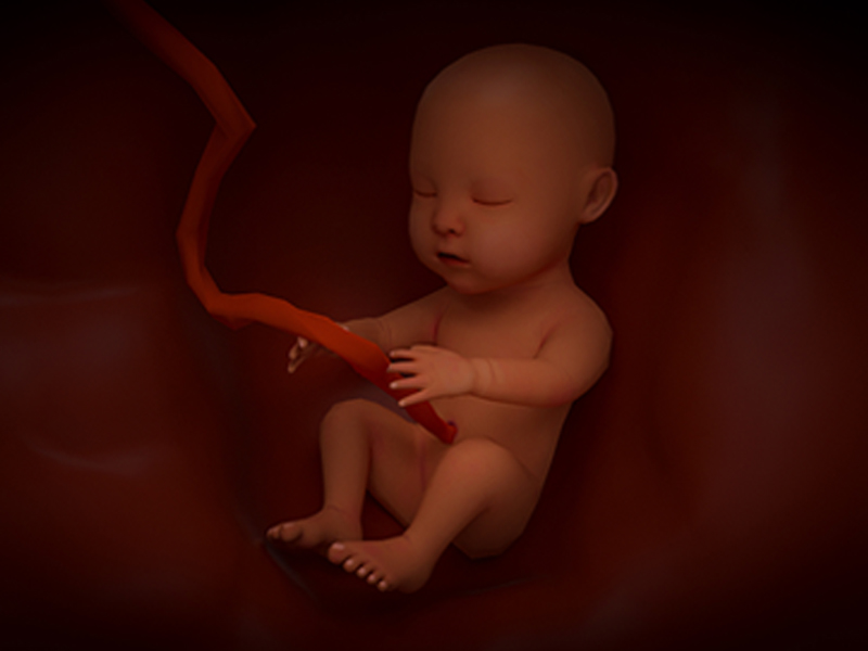 優(yōu)生優(yōu)育檢測(cè)