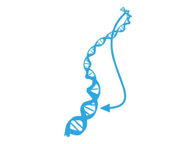 地中海貧血檢測