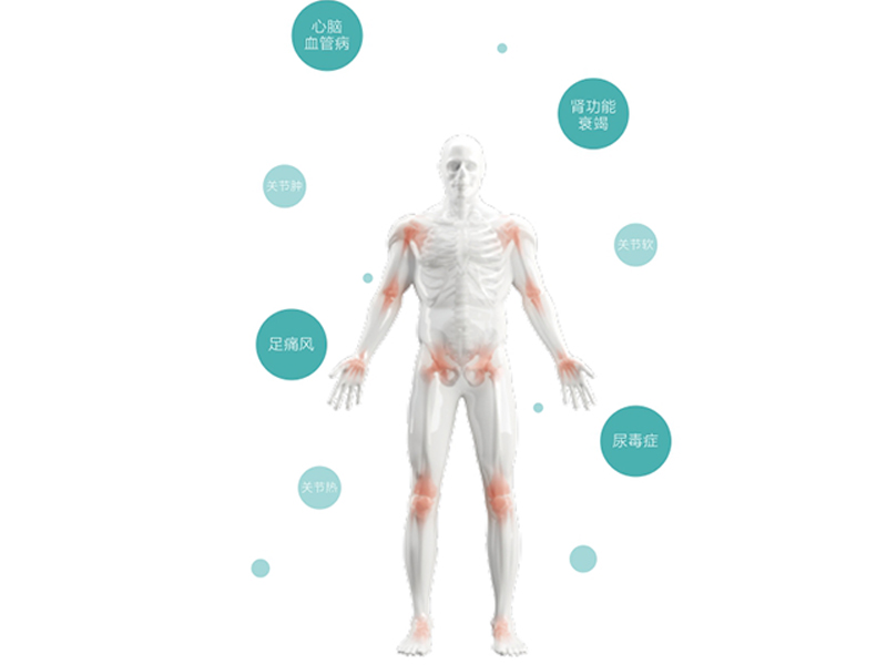 痛風個體化用藥基因檢測